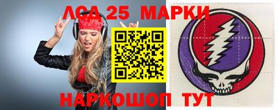 гидра Будённовск