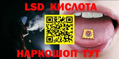 гидра Будённовск