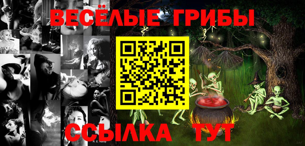 Псилоцибиновые грибы прущие грибы  Вход с VPN  Псилоцибиновые грибы мицелий  Сокол 