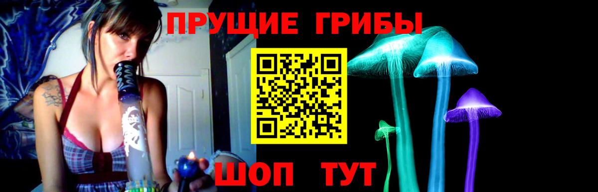 Псилоцибиновые грибы Psilocybine cubensis Сокол